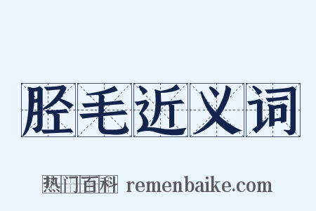 胫毛近义词是什么意思的图片